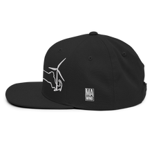 Massachusetts Wind Snapback Hat