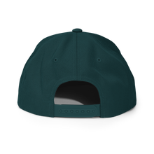 Montana Wind Snapback Hat