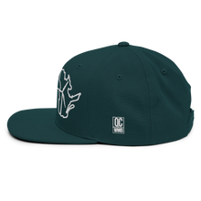 Quebec Wind Snapback Hat